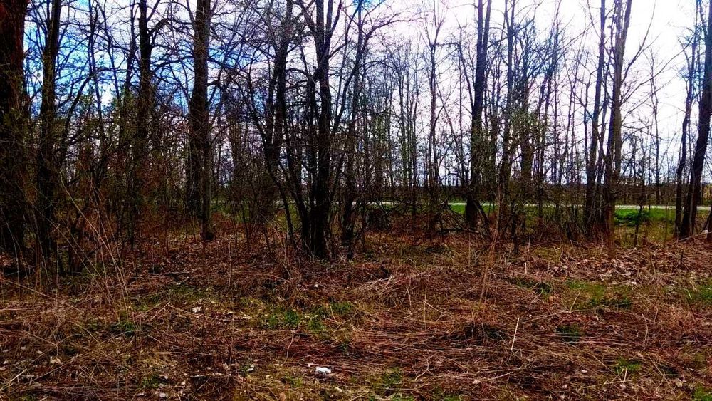 TO Земельна ділянка під будівництво у передмісті Чернігова