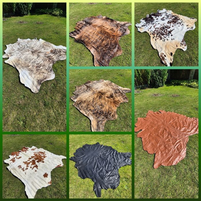 Великі натуральні коров’ячі шкури для інтер’єру і пошиття 2м, по 1 шт