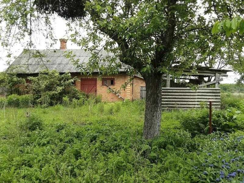 Продам Будинок площею 67,7 кв.м. та ділянка 0,25 га Луцький с. Озденіж