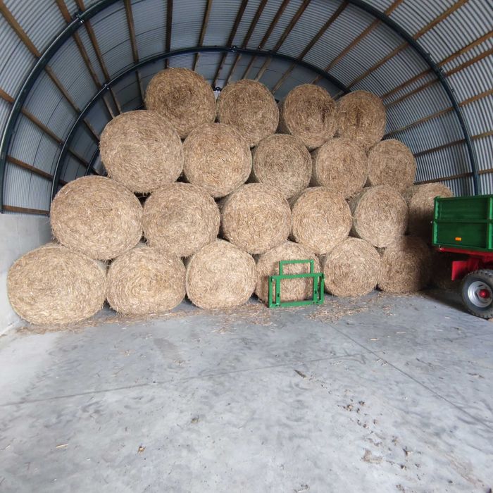 słoma pszenna bele  baloty