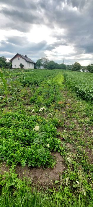 продаж будинку в сільській місцевості