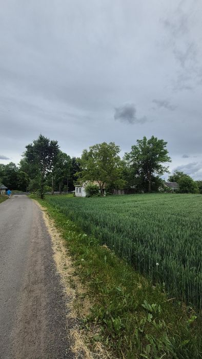 Продам хорошу ділянку в центрі с.Олександрія - View 6