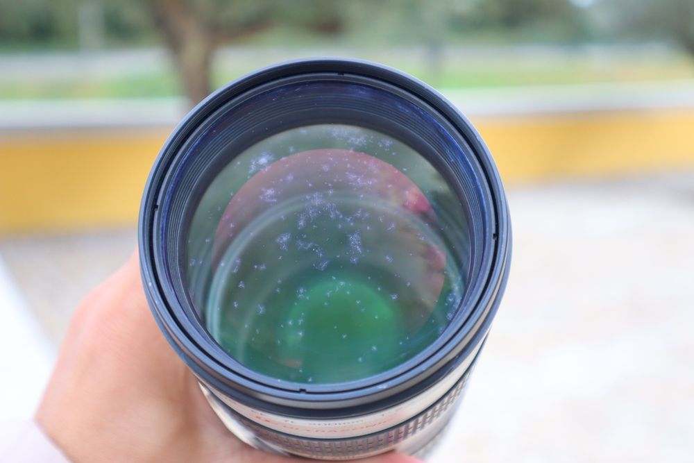 Canon EF 70-200mm f/2.8 L USM