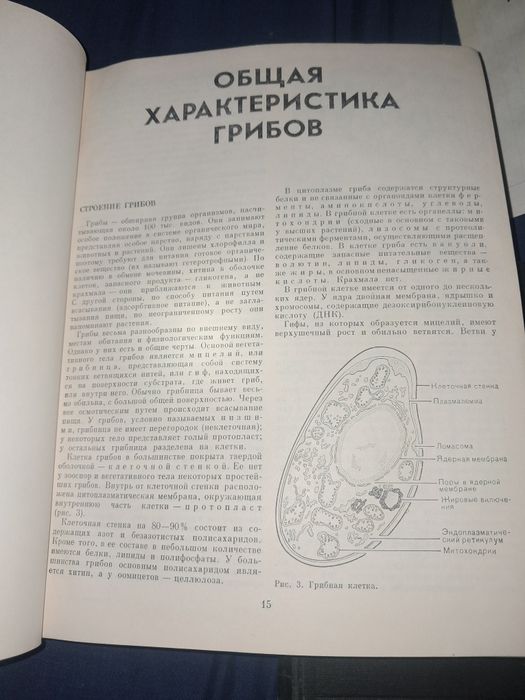 Книга" Мир растений "1991 року