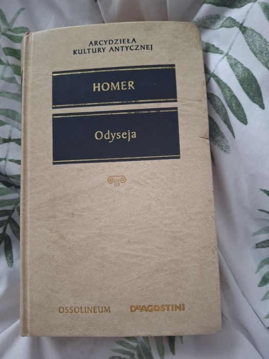 Odyseja Homer. .