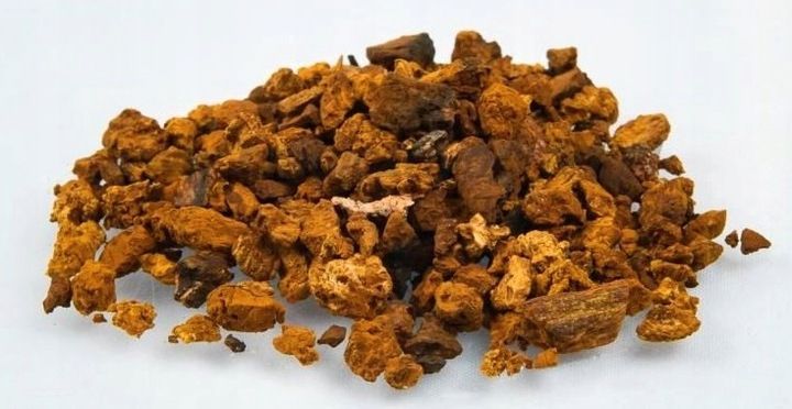 NANGA Chaga Guz Brzozy cięty 100g