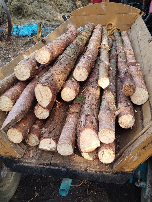 Sprzedam stemple drewniane sosnowe