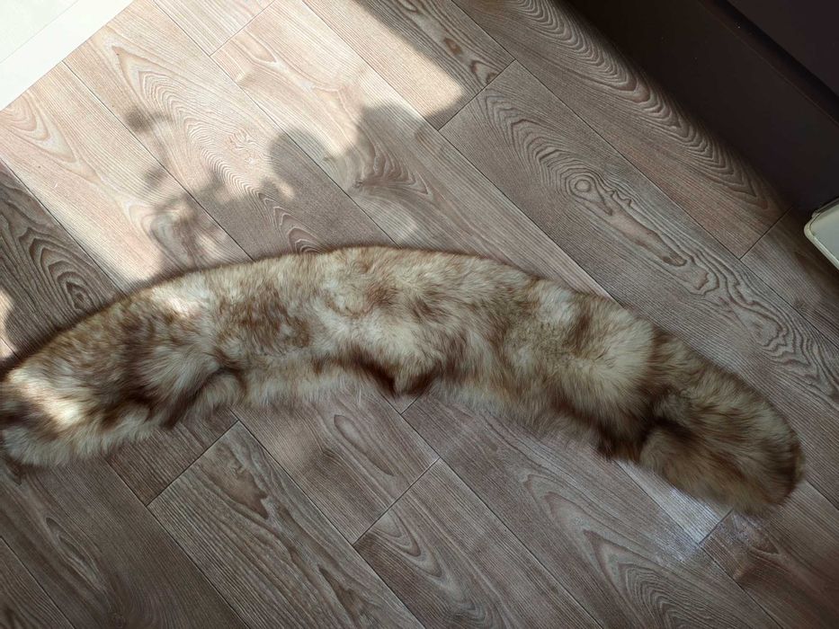 Хутро писця білого