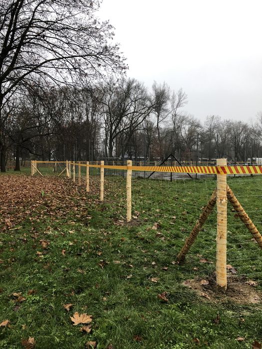 Ogrodzenie budowlane tymczasowe siatka leśna stemple płot