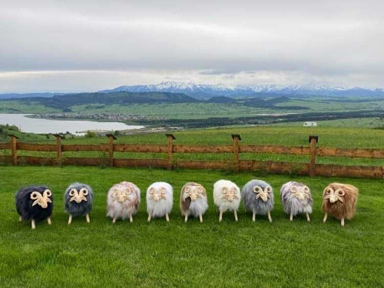 Baran Dekoracyjny Skóra Owcza Naturalna Dekoracja Ozdoba Krzesło