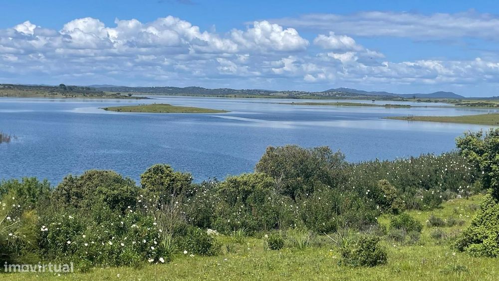 Terreno na Margem Alqueva