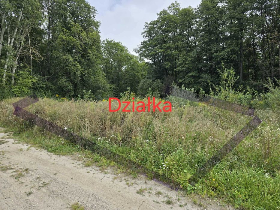 Działka 10ar Ciechanów - Mieszki Różki okolice Krubina