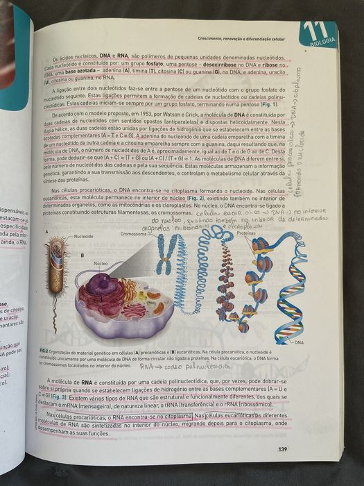 Preparação para o Exame Final Nacional de Biologia e Geologia