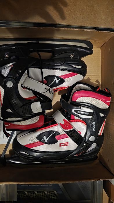 Łyżwy damskie, regulowane, 38-41. TEMPISH. Model Rhino