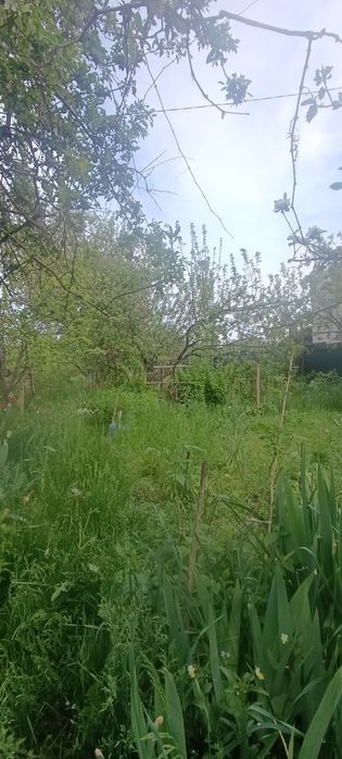 Продам будинок -дача в 5 км від міста,СТ Барвінок.