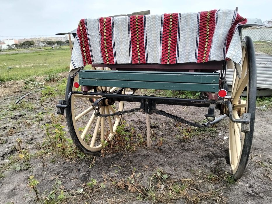 Charrete de cavalo
