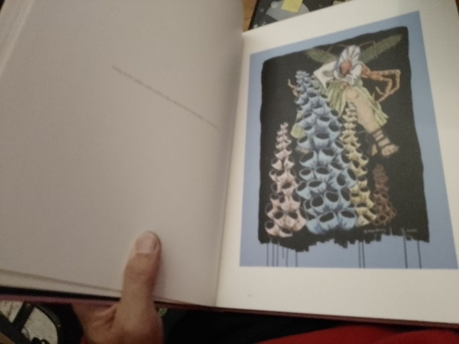 Clara Martins-Cordeiros Galeria-1 edicao-Pintura-10E-2 limoes3EDesde2E