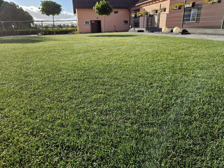 Trawa z rolki - Producent Garden Grass