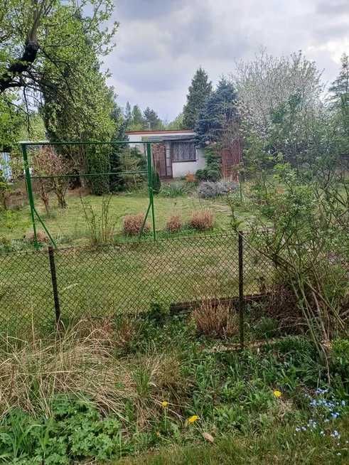 Dzialka ROD im Lotnictwa Polskiego w Poznaniu