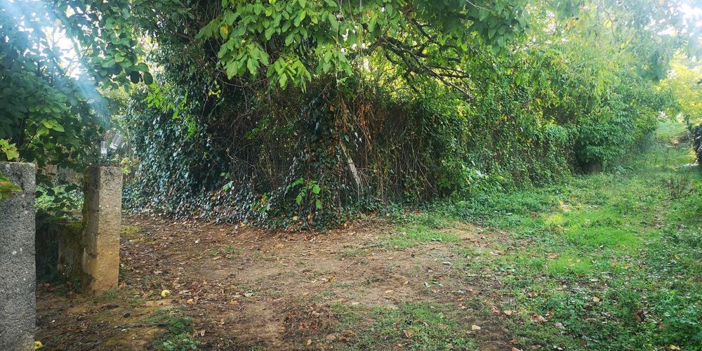 Vende-se Terreno Misto c/6500m2 - São Martinho de Anta (Sabrosa)