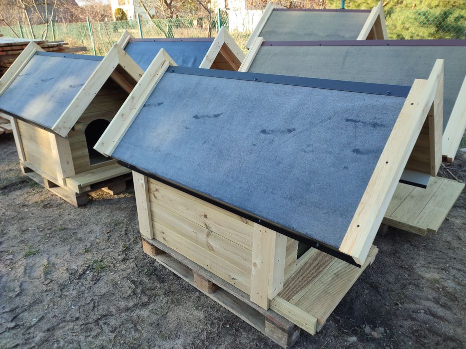 Buda dla psa , kojec