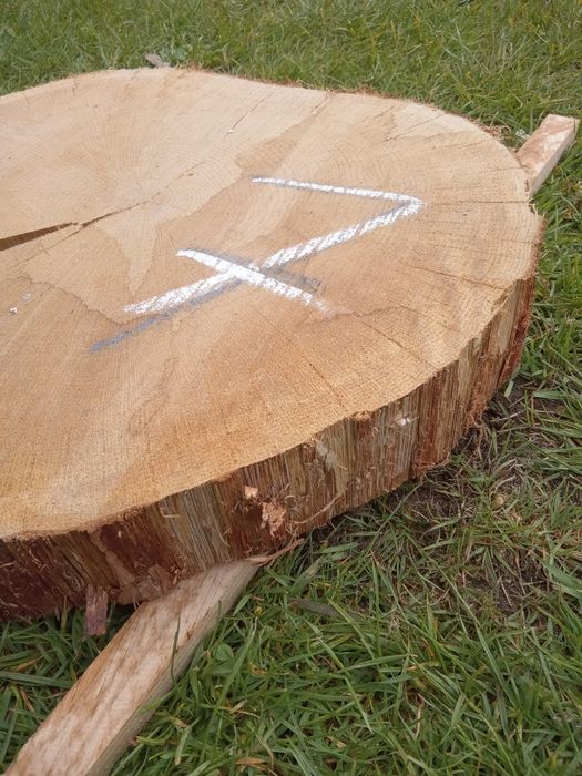 Plaster dębowy na stolik kawowy/ blat