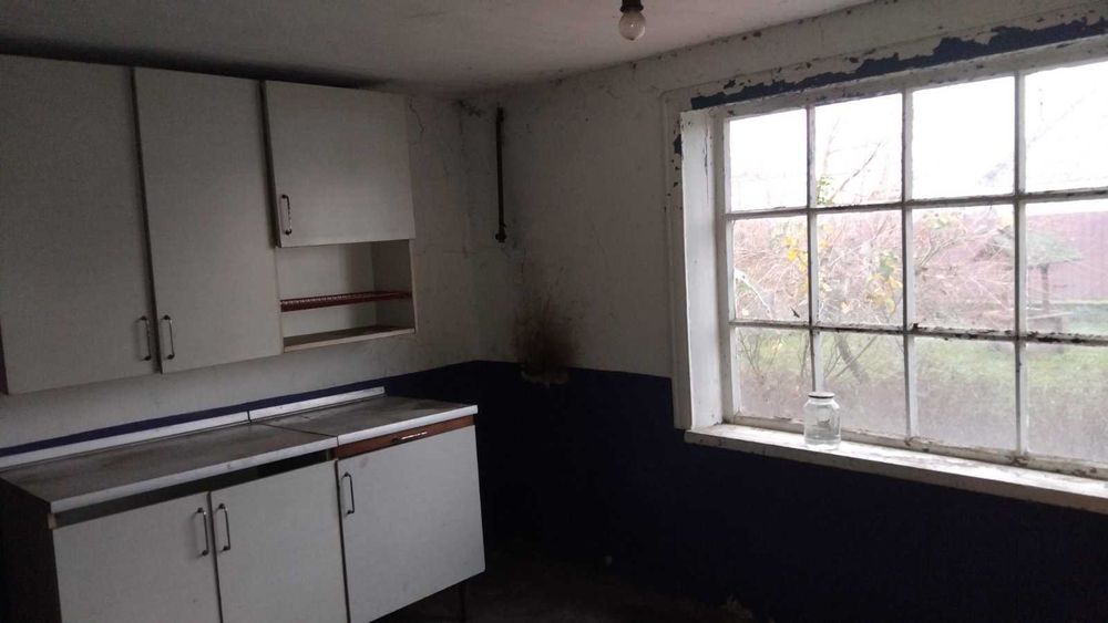 Будинок з новим вел. гаражем і виноградниками в Ч. Слободі (п3)