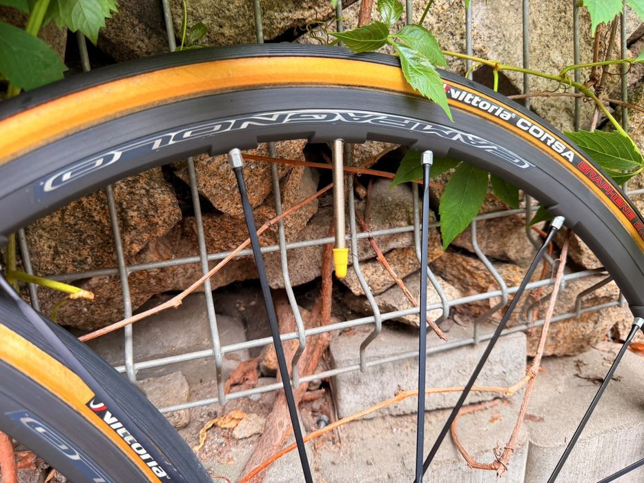 Koła szosowe Campagnolo Shamal Mille C17