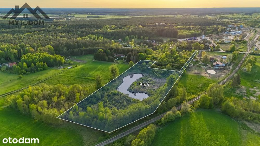 Działka 2.46h ze stawem w otoczeniu lasów i jezior - Widok 4