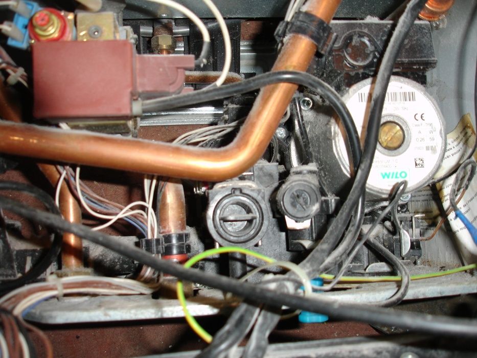 Ariston Genus, Clas, Egis, BS na części