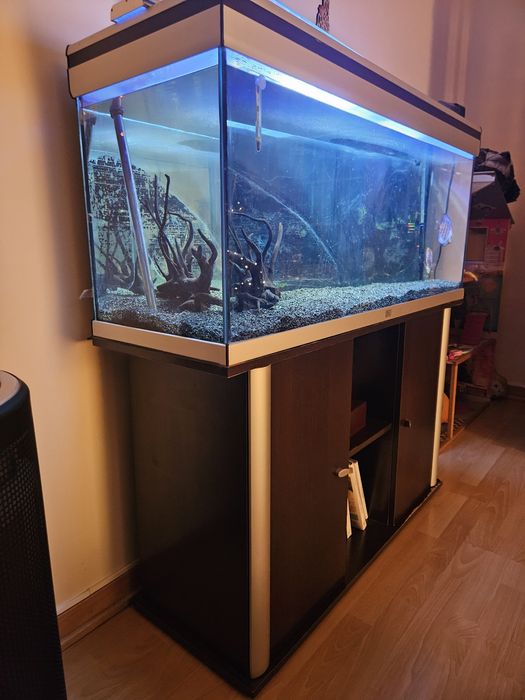 Aquario completo a funcionar