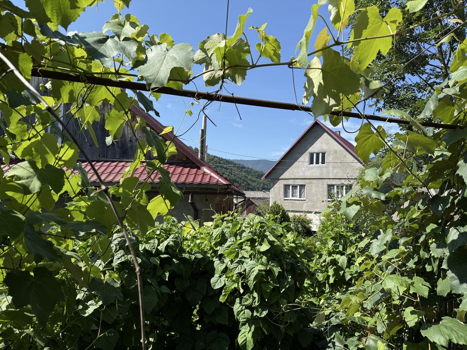 Сдається будинок у смт. Міжгірʼя