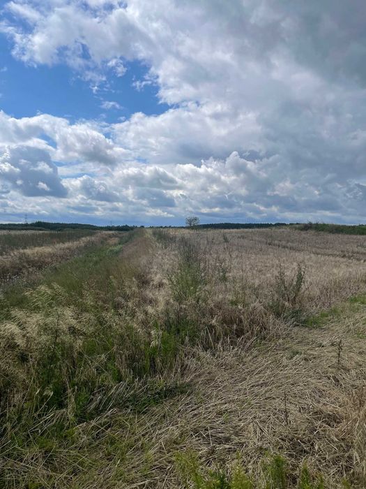 Działki Budowlane na sprzedaż MPZP Stołuń inwestycyjne okazja