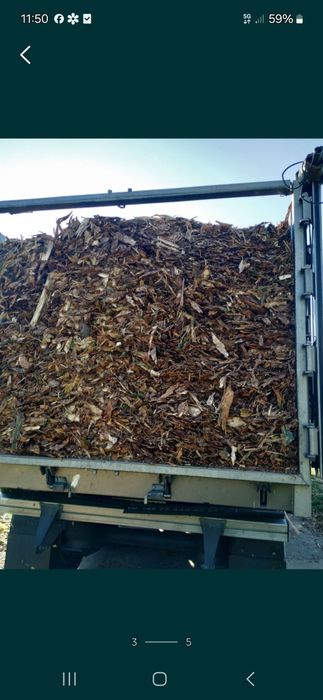 Kora sosnowa ozdobna workowana najtaniej