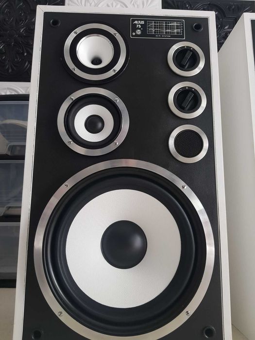 Kolumny Altus Tonsil  75 (Wersja Czarno-Biała) Unikalny Design