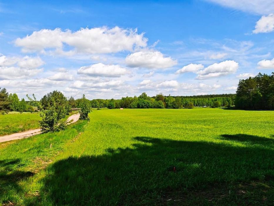 Działka budowlana, 10ar, las, Mazury, bezterminowe Warunki Zabudowy