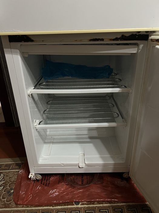 Холодильник Snaige + морозильна камера   - Ціна Договірна