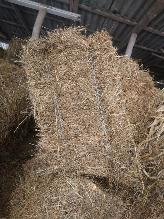 Продам люцерку в тюках