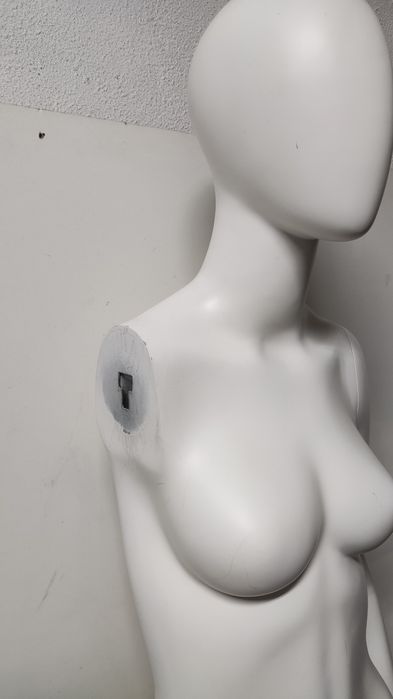 Manequim Busto feminino desmontável