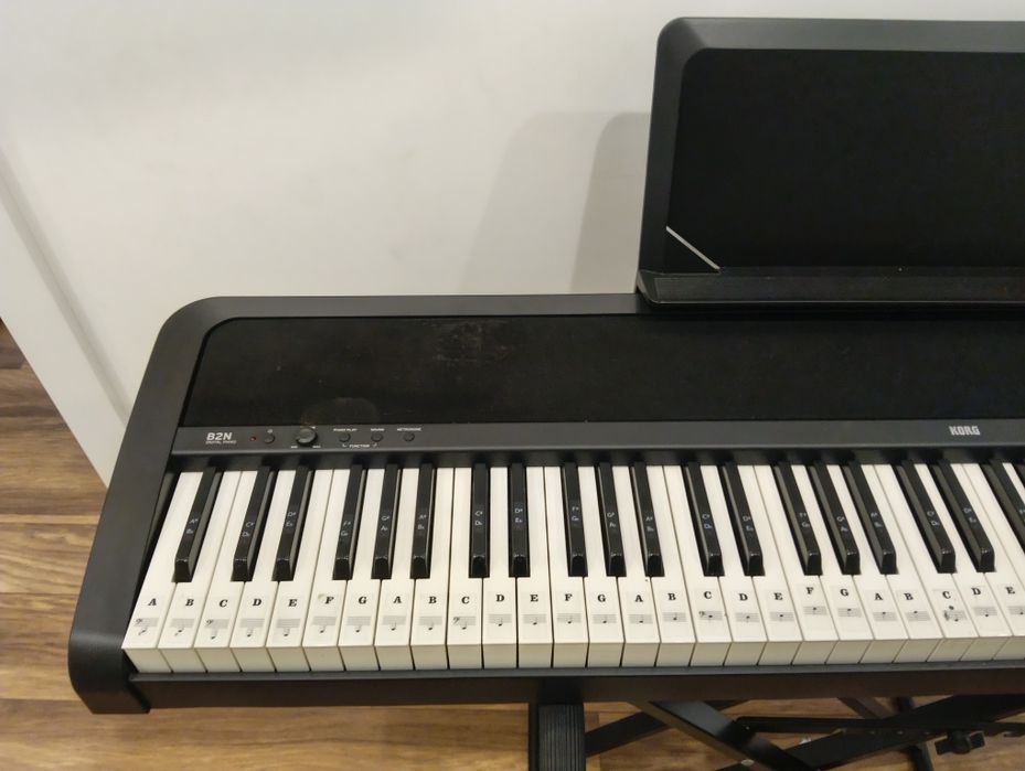 Keyboard   używany Korg