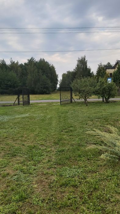Dom – Ziąbki, powiat skierniewicki - Widok 3