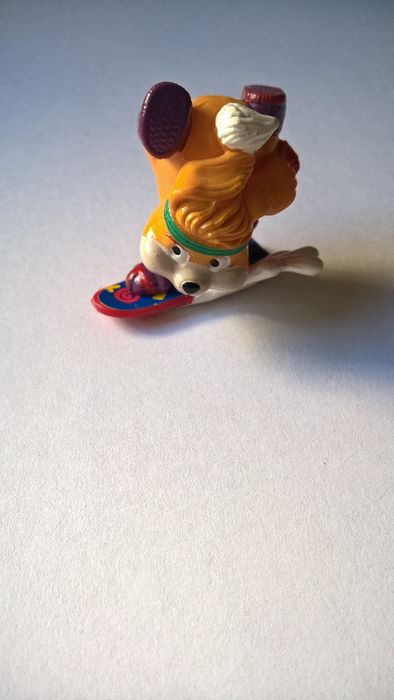 Surfista (portes incluídos)