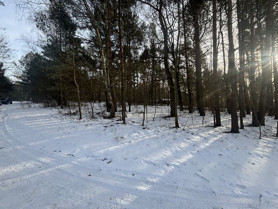 Dzialki Cieszanowice na sprzedaż