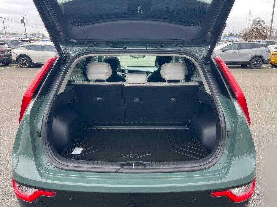 Kia Niro EV Wave      2023