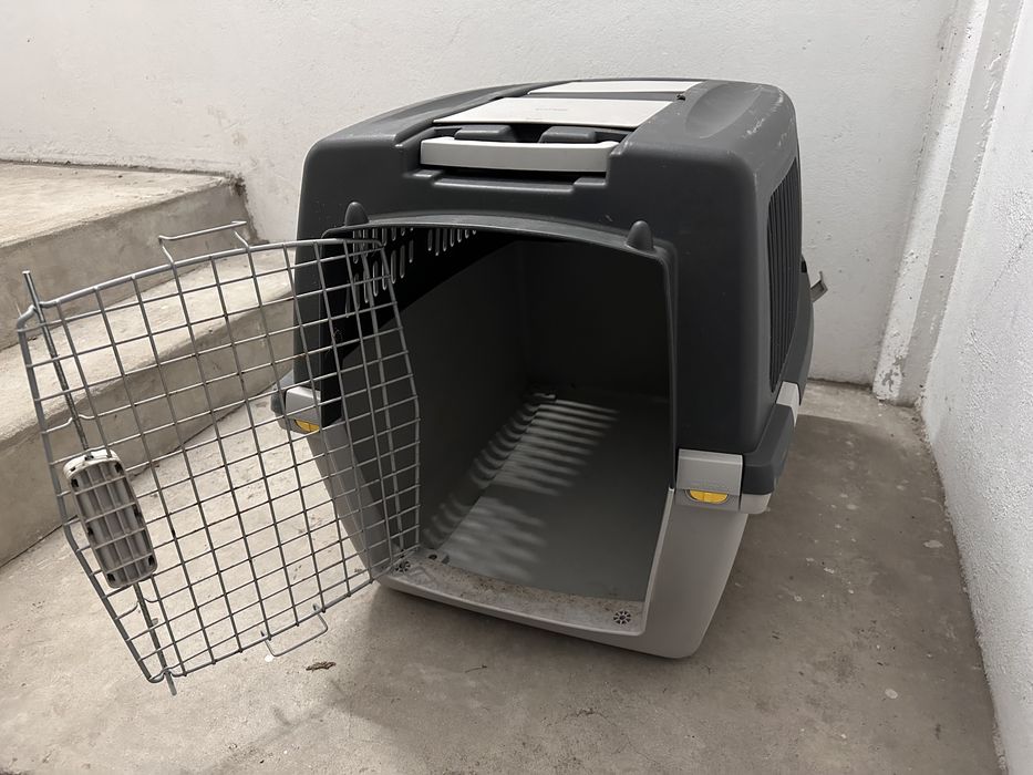 Caixa transporte Animais