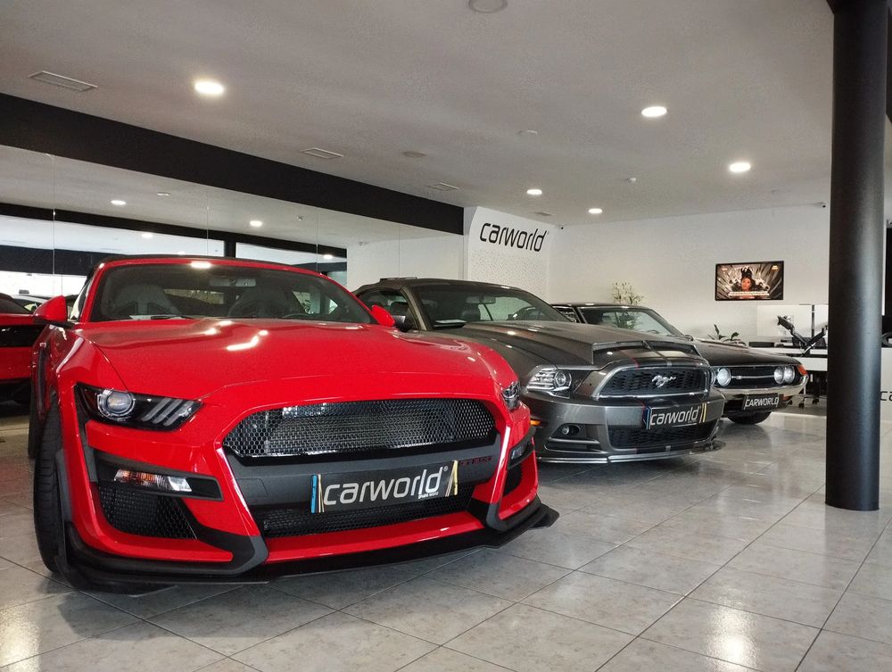 business-site-gallery-photo