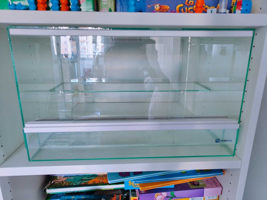 Terrarium dla chomika myszki