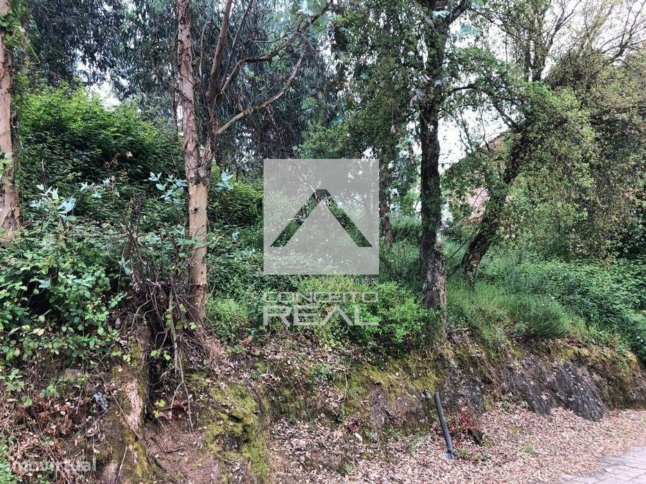 Lote de Terreno com 474 m2 – S. Pedro da Cova