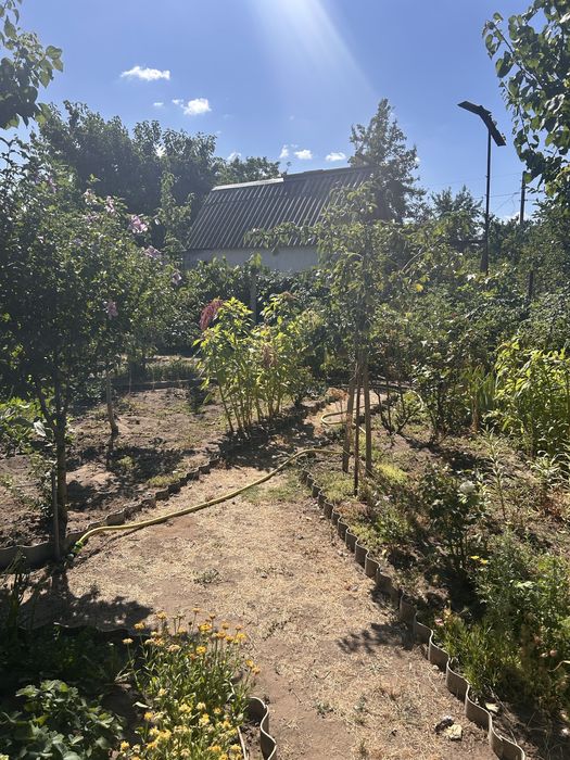 Прдам дачу в Воскресенском Николаевская обл.свт «Солнечная поляна 2»