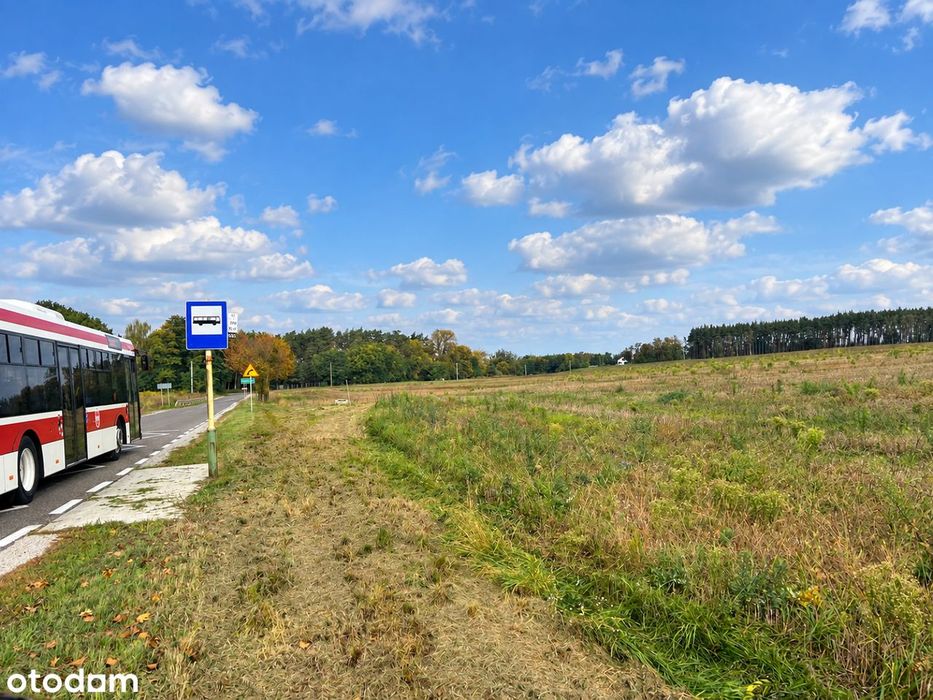 Szwajcarski klimat pod Poznaniem. Wyjątkowy teren, działki budowlane. - Widok 3